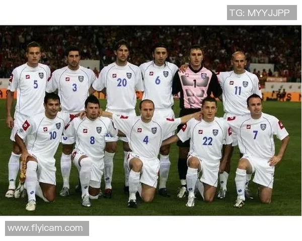 挪威与塞尔维亚国家队最新大名单分析及球员表现展望