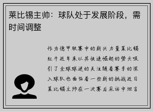 莱比锡主帅：球队处于发展阶段，需时间调整