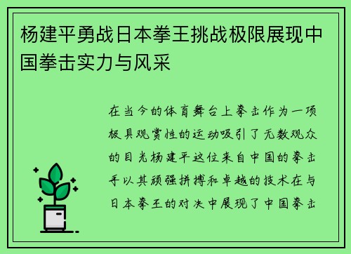 杨建平勇战日本拳王挑战极限展现中国拳击实力与风采