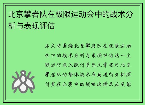 北京攀岩队在极限运动会中的战术分析与表现评估