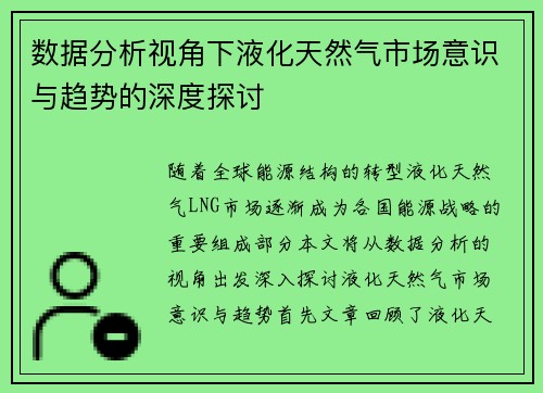 数据分析视角下液化天然气市场意识与趋势的深度探讨
